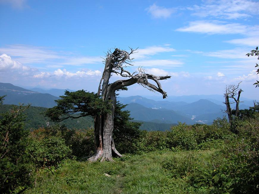태백산 전경 이미지