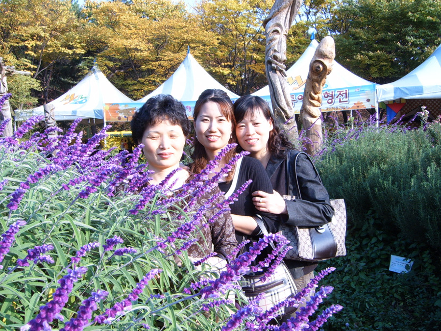 마라나타 이미지