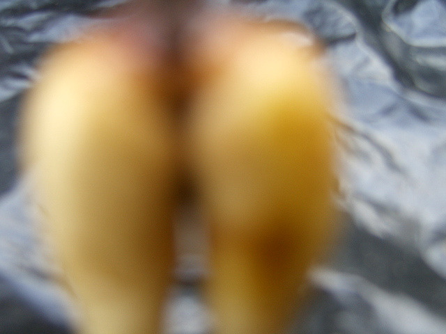 ̹ Ŭϸ    ֽϴ.
