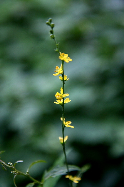 �̹����� Ŭ���ϸ� ������ ���� �� �ֽ��ϴ�.