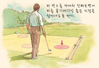 티박스 이미지