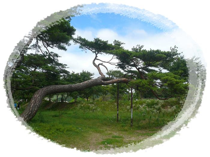 선하회마을 이미지