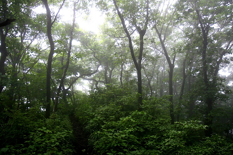 �̹����� Ŭ���ϸ� ������ ���� �� �ֽ��ϴ�.