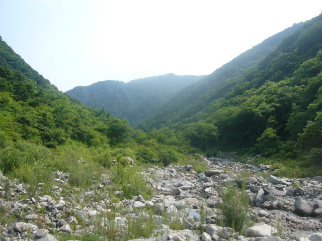 방태산약초 이미지