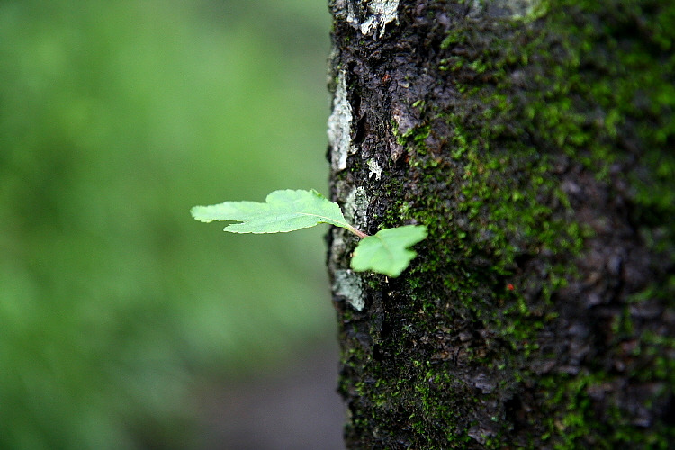 �̹����� Ŭ���ϸ� ������ ���� �� �ֽ��ϴ�.