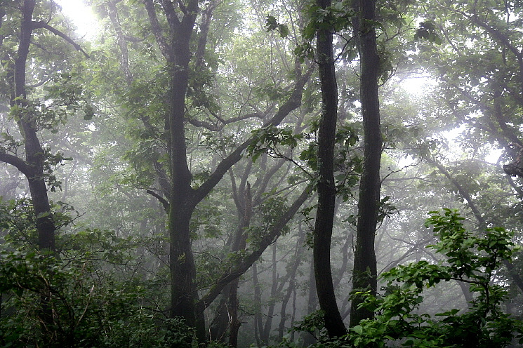 �̹����� Ŭ���ϸ� ������ ���� �� �ֽ��ϴ�.