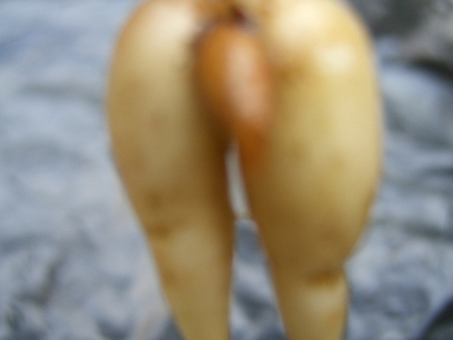 ̹ Ŭϸ    ֽϴ.