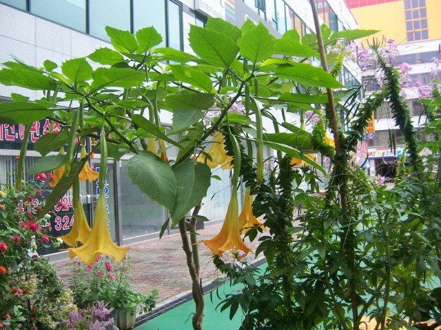 친정집식당 이미지