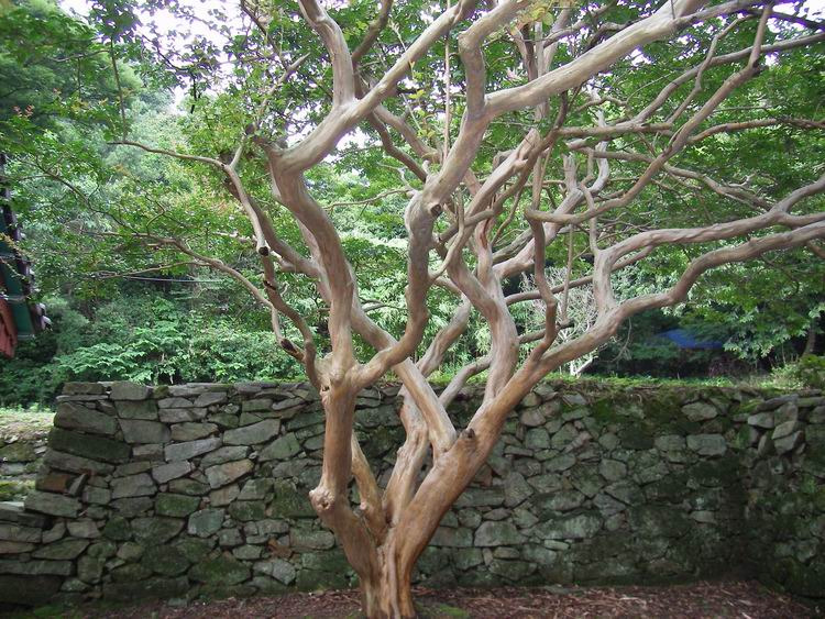 �̹����� Ŭ���ϸ� ������ ���� �� �ֽ��ϴ�.