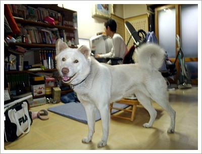 일주전기 이미지