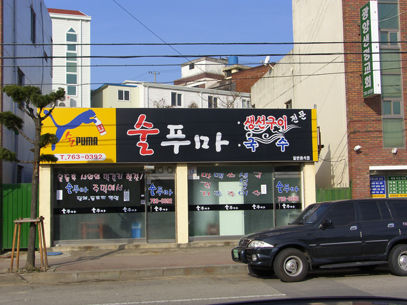 술푸마 이미지